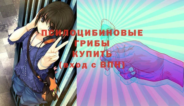 a pvp Арсеньев