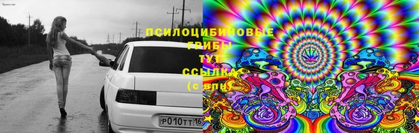 дмт Аркадак